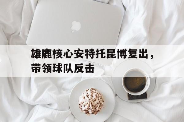 雄鹿队阿德托昆博